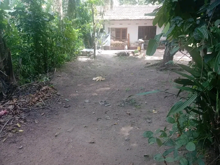 House Sale in Gampaha