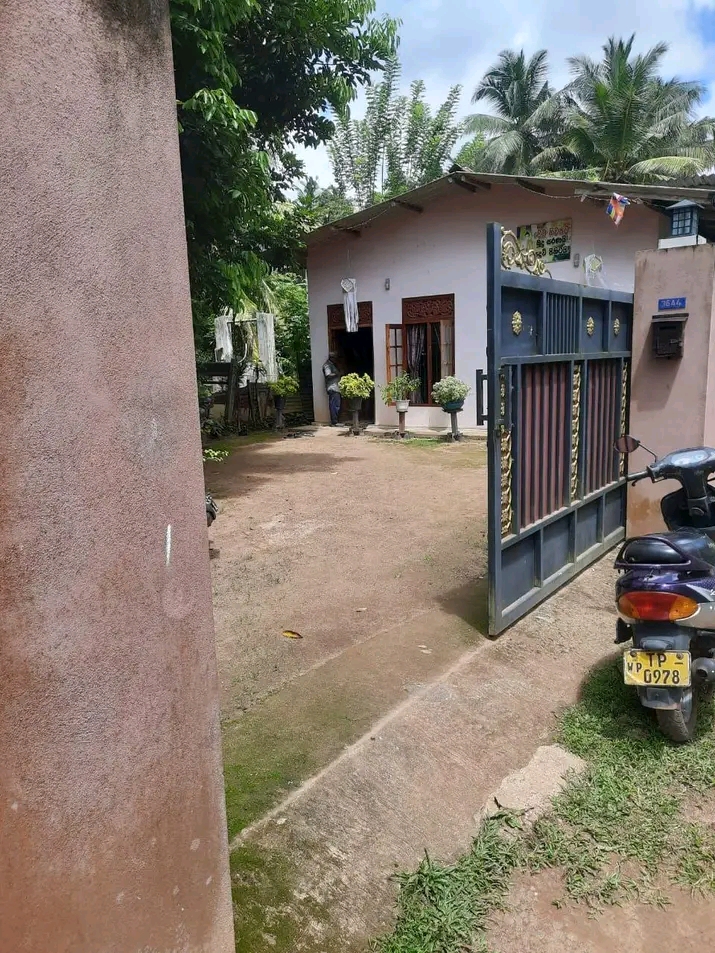 House Sale in Gampaha