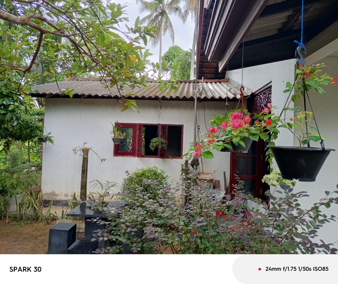 House Image 5