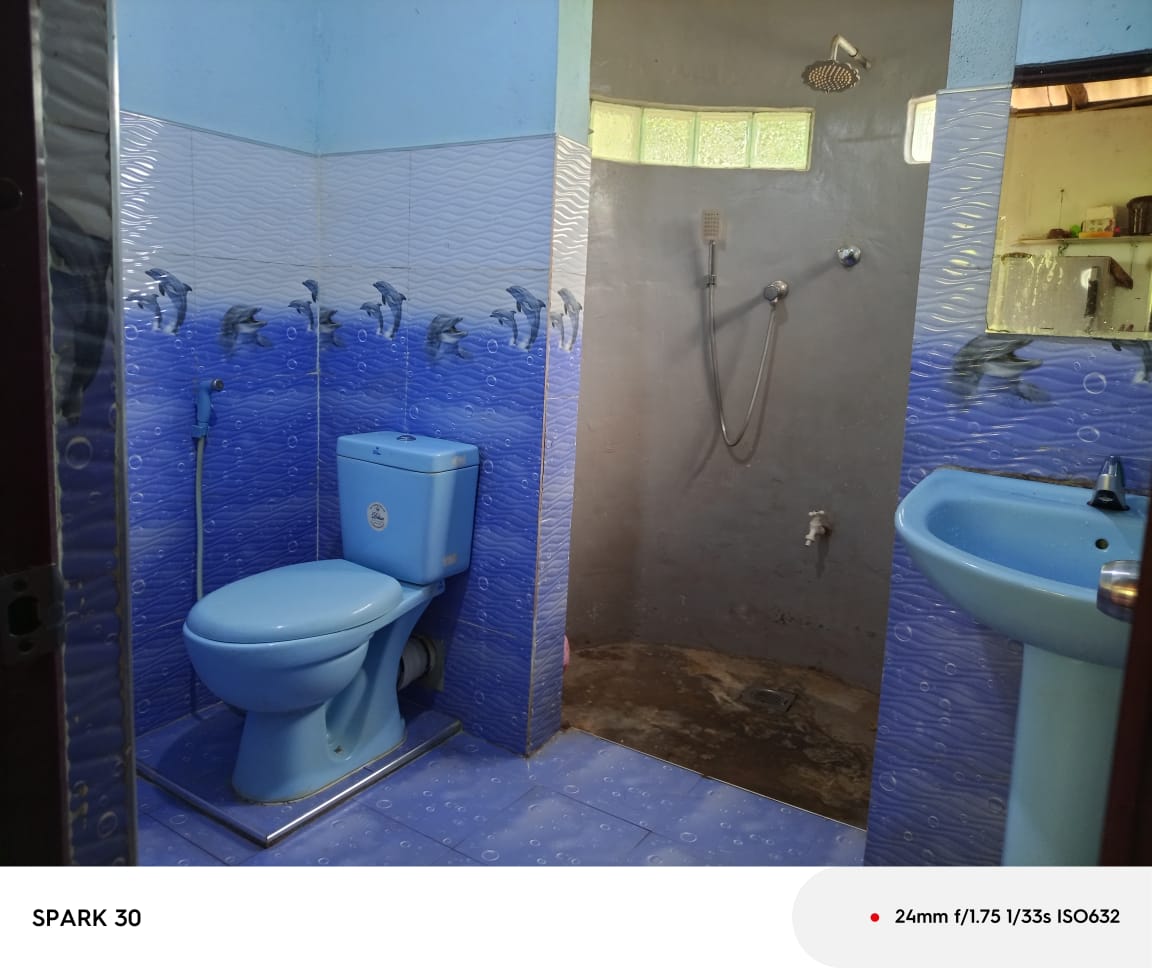 House Image 7