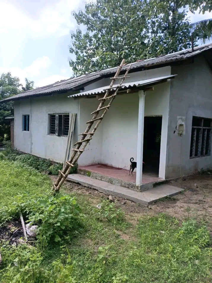 House Sale in Narammala