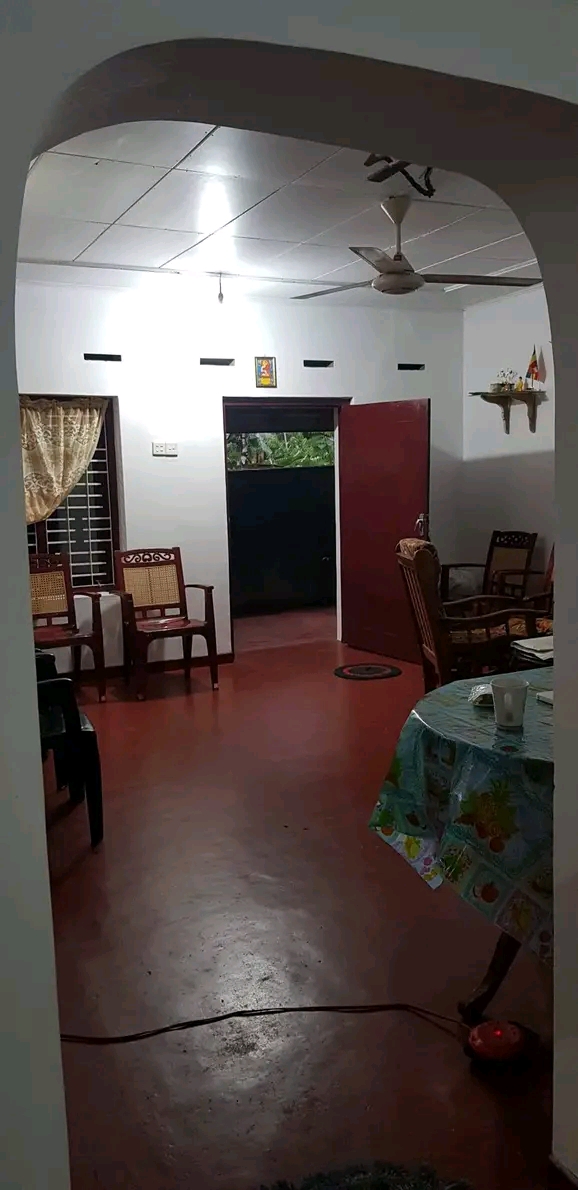 House Image 2