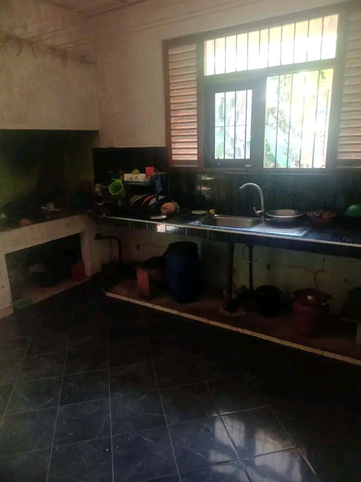 House Image 3