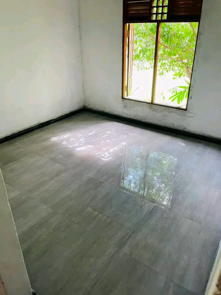 House Image 3