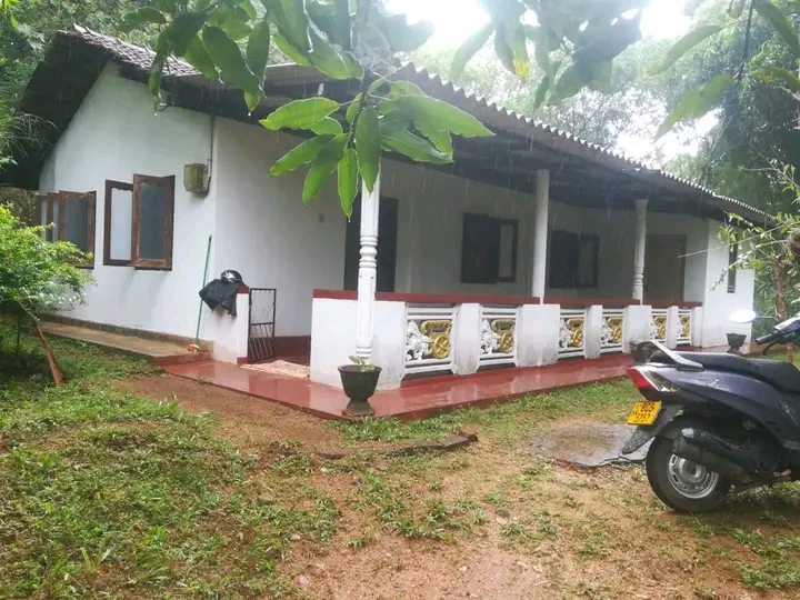 Alawuwa Narammala Road