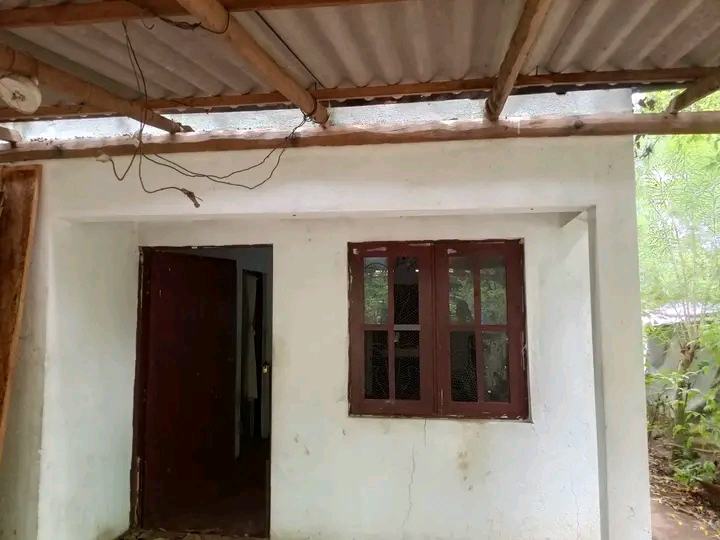 House Image 3