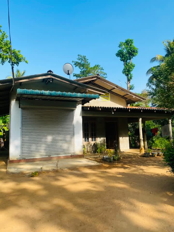 House Image 3