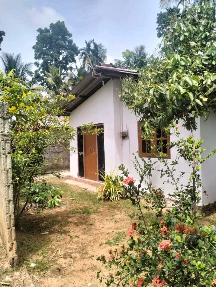 House Sale in Minuwangoda