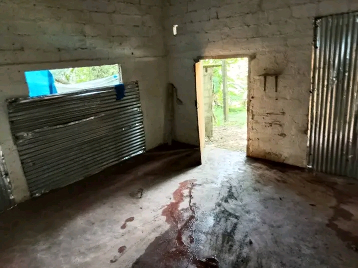 House Image 2