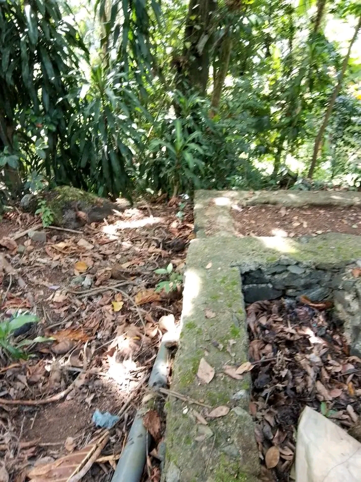 House Image 3