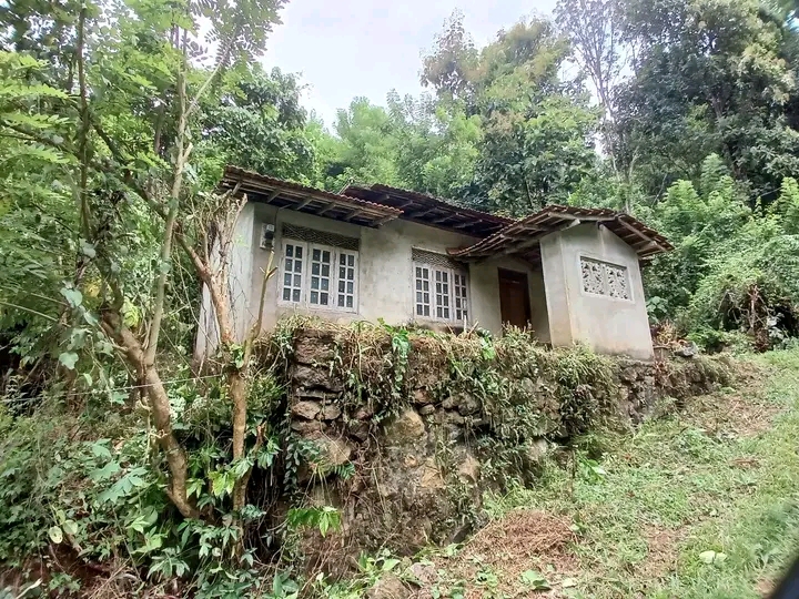 House Sale in Alawwa