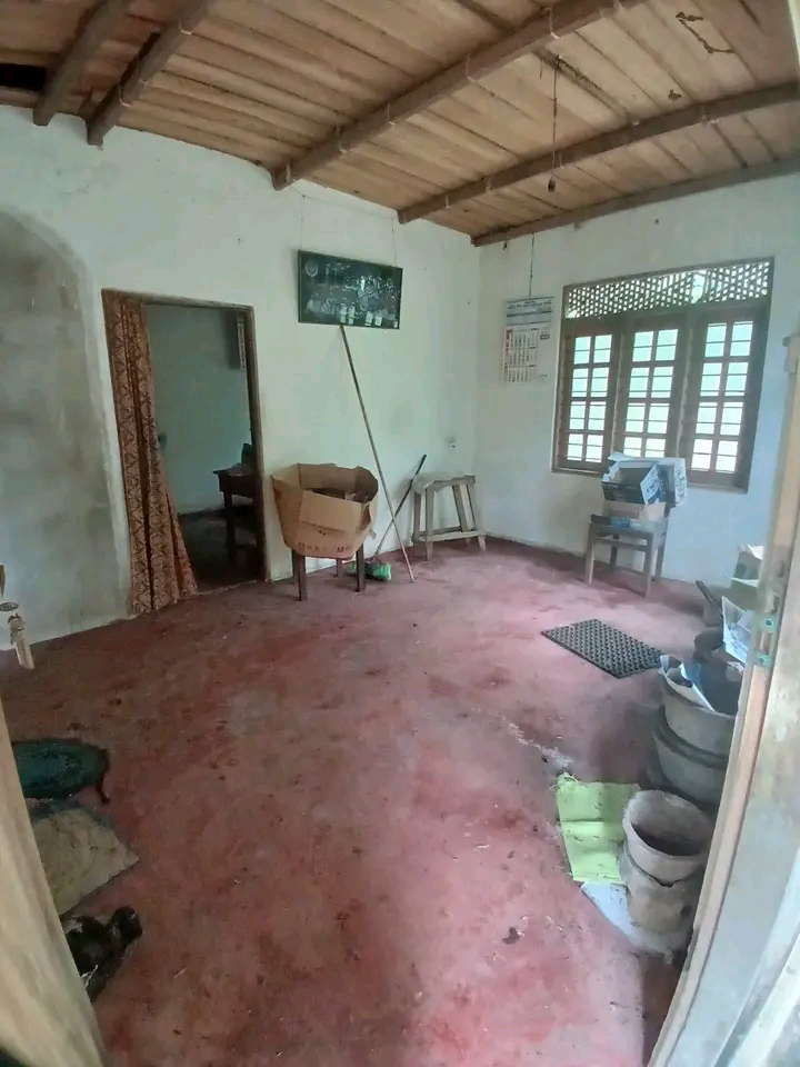House Image 2