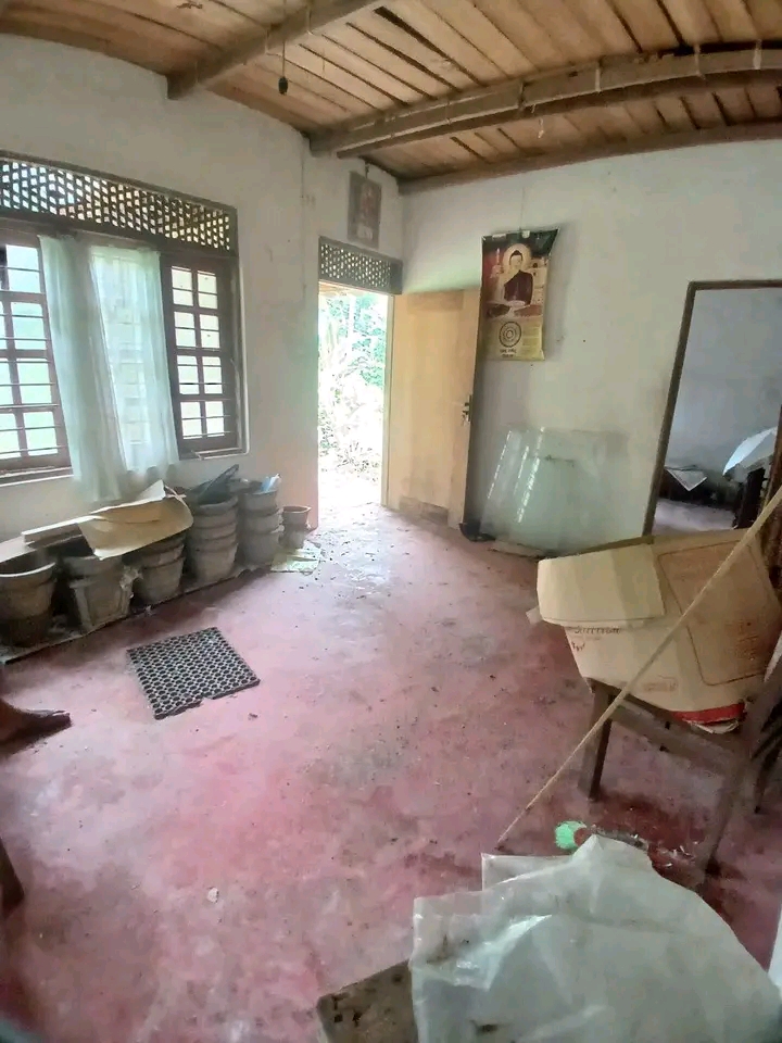 House Image 3