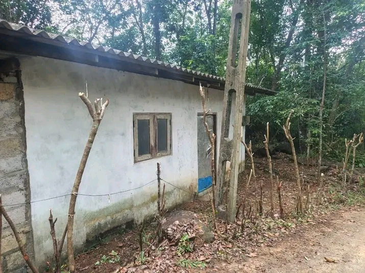 House Image 3