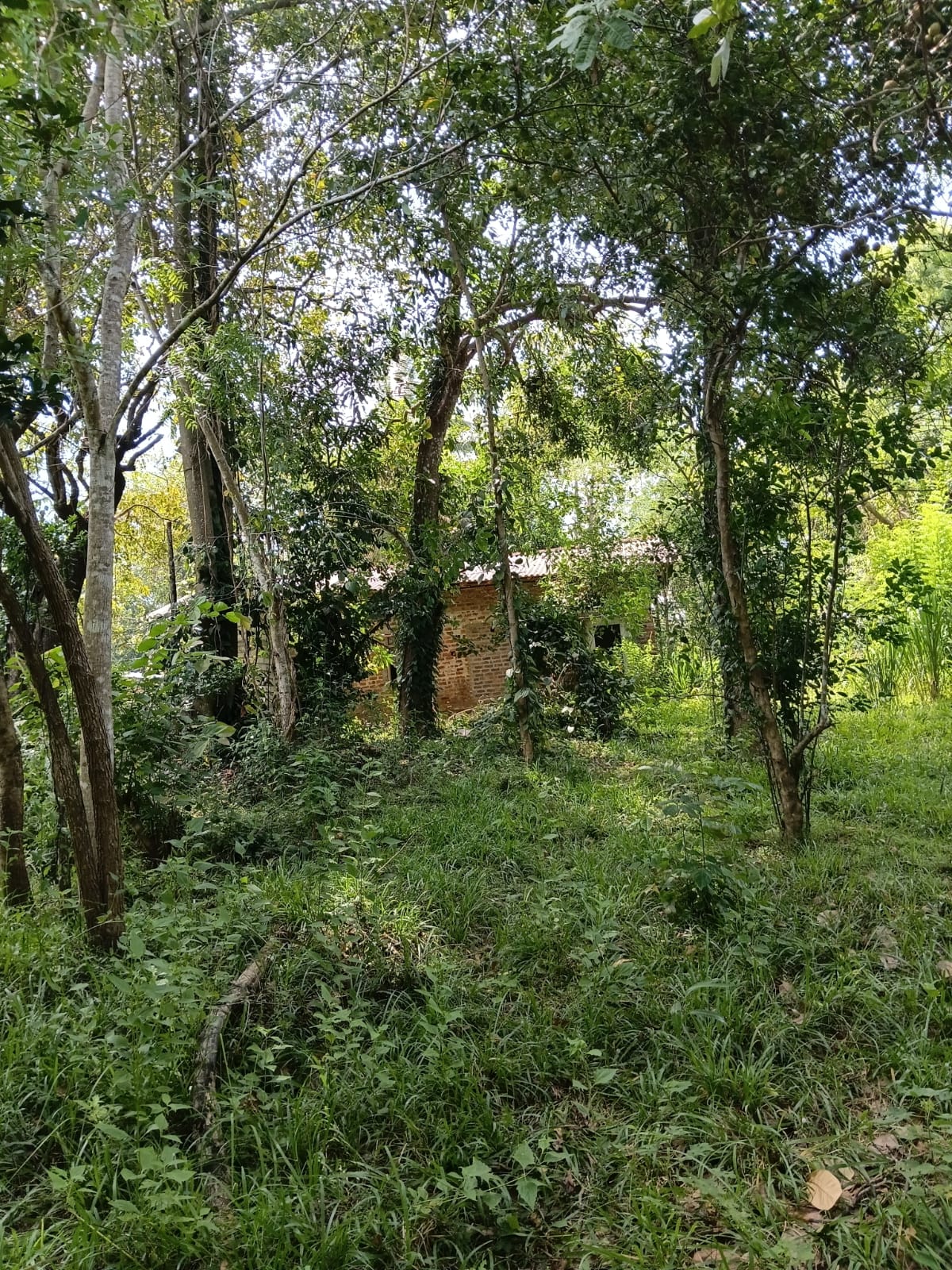 House Image 4