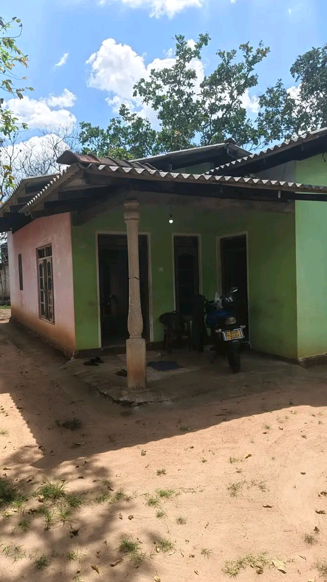 House Sale in Bogaswewa