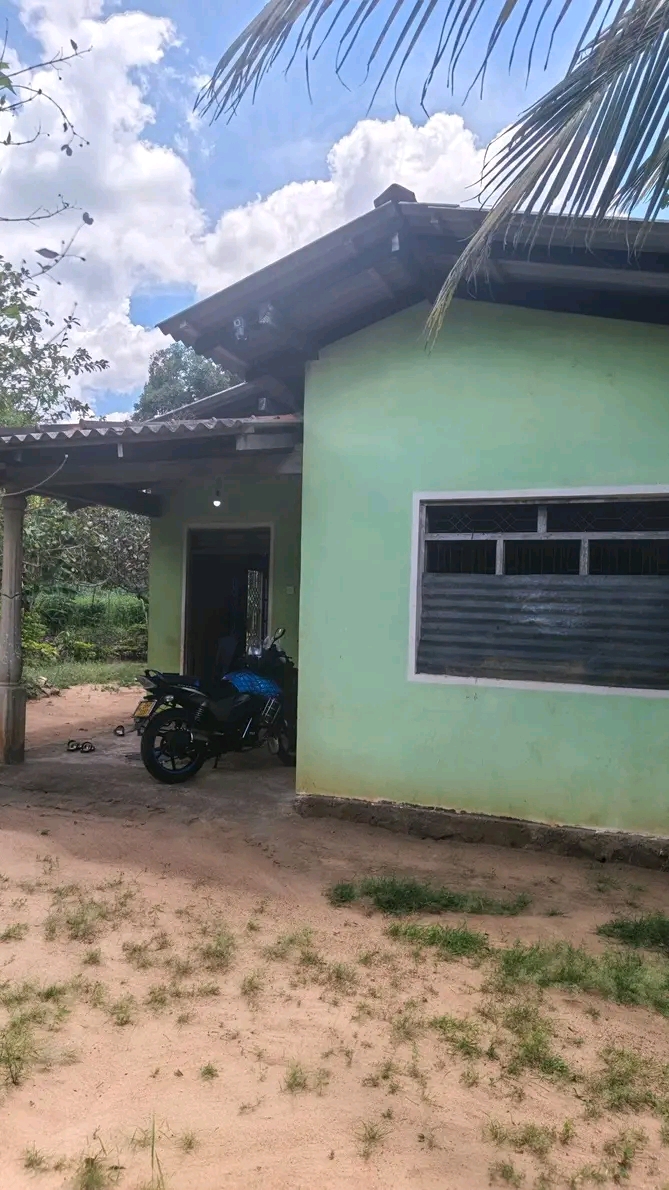 House Image 2
