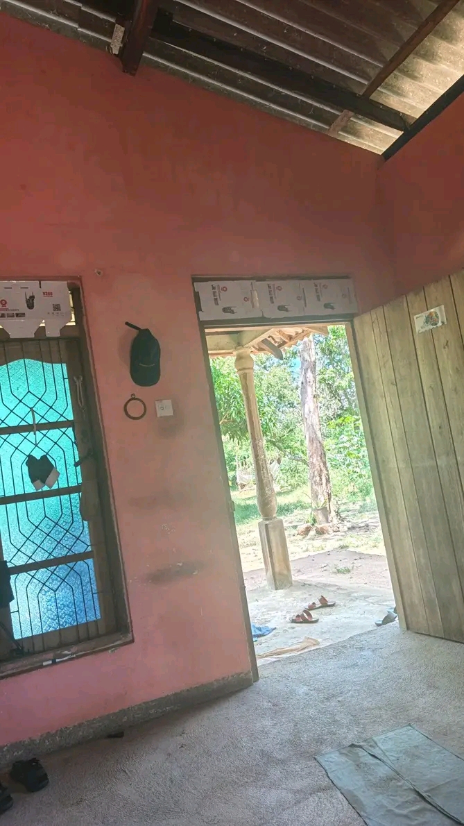 House Image 3