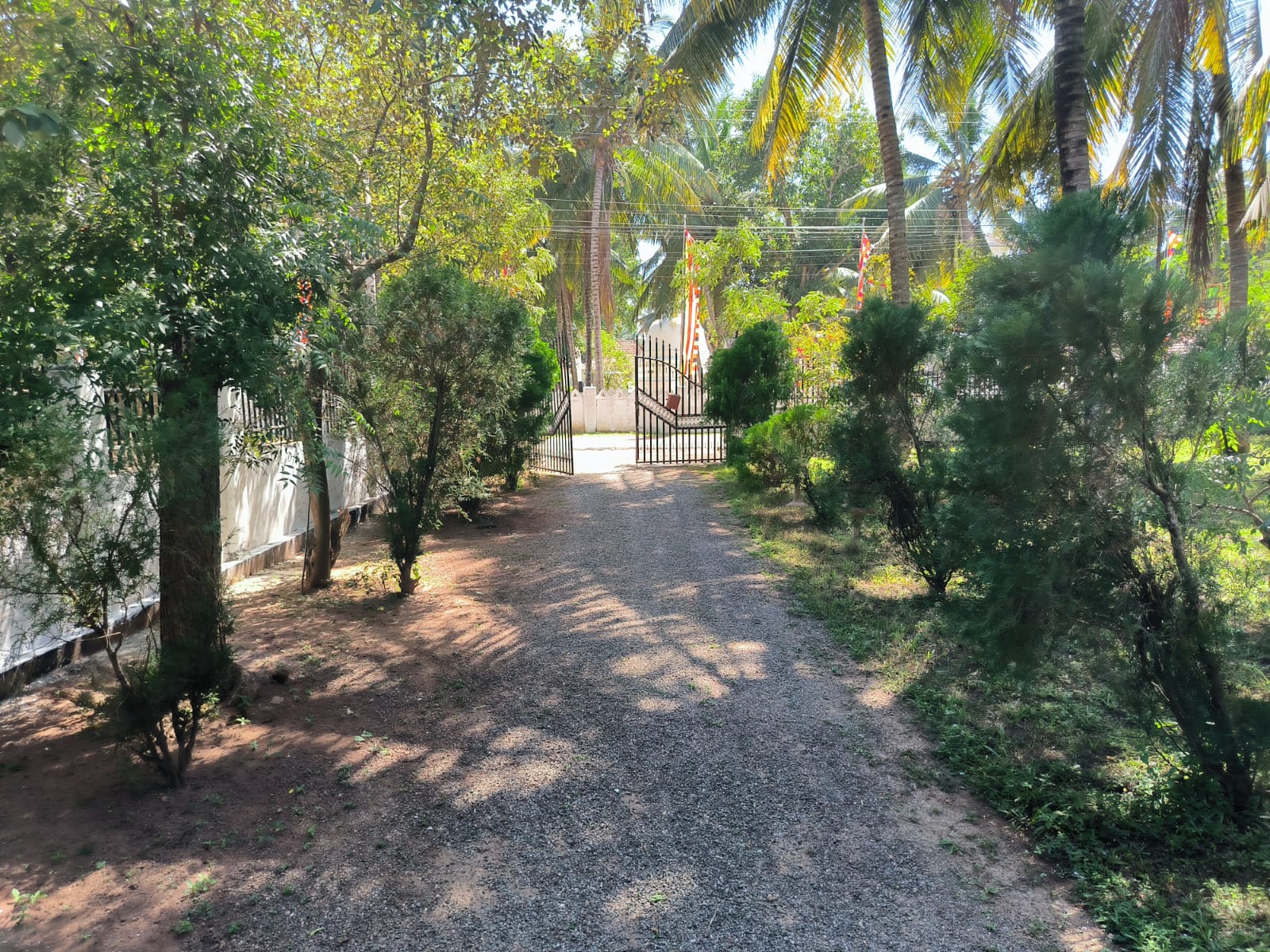 House Image 6