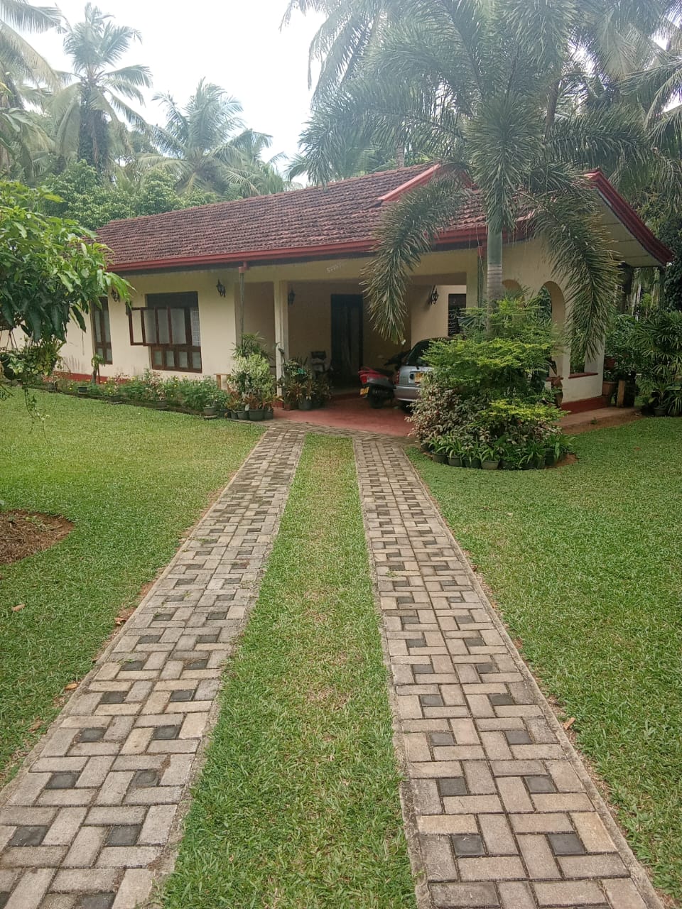 Hous Sale in Pallewela