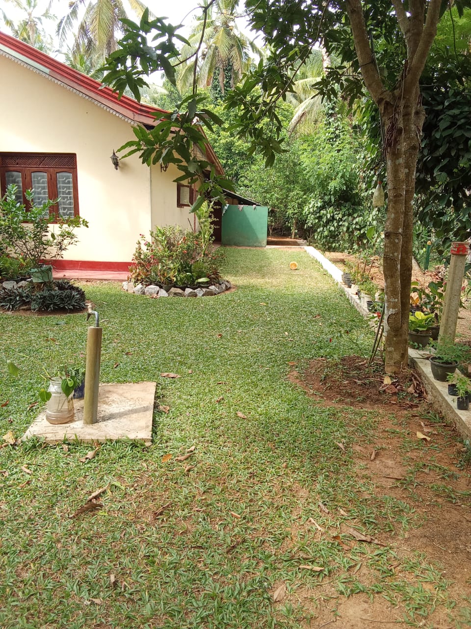 House Image 2