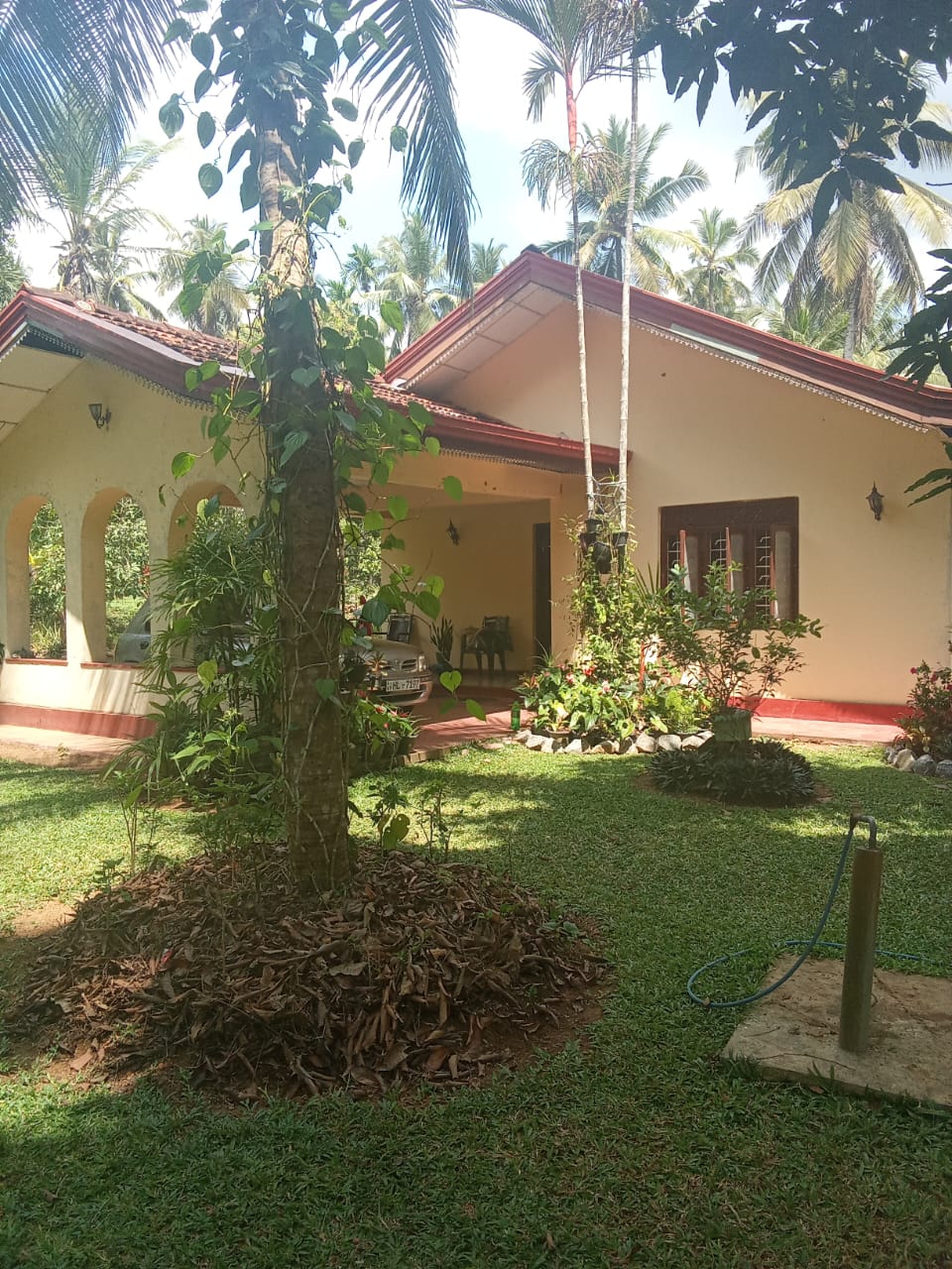 House Image 3