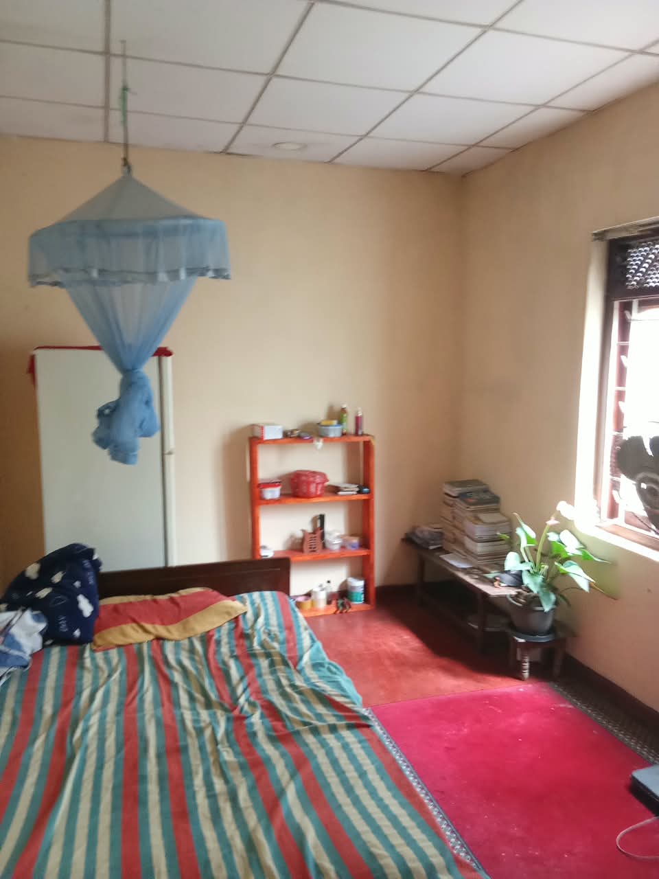 House Image 5