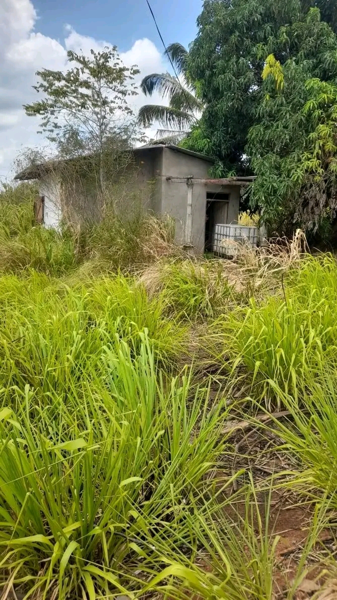 House Sale in Bogaswewa