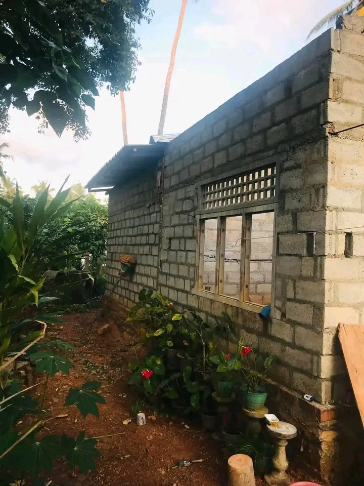 House Image 2