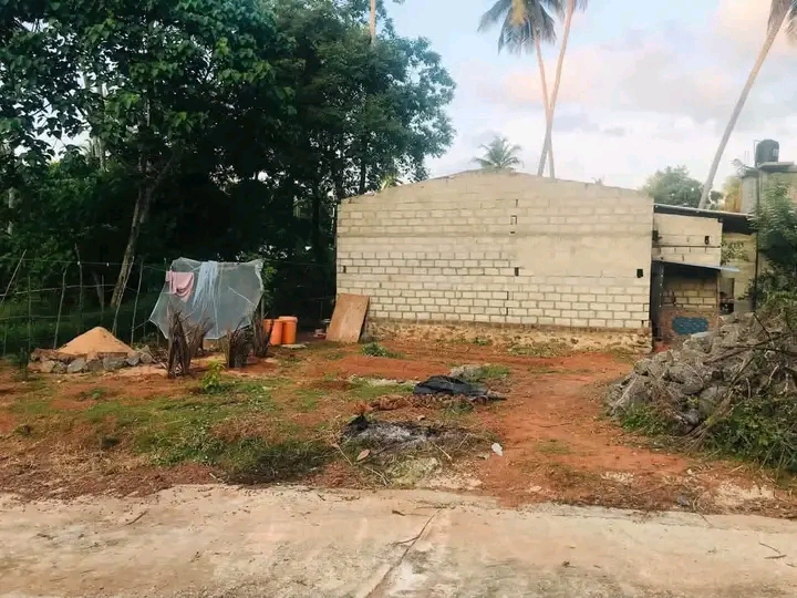 House Image 3