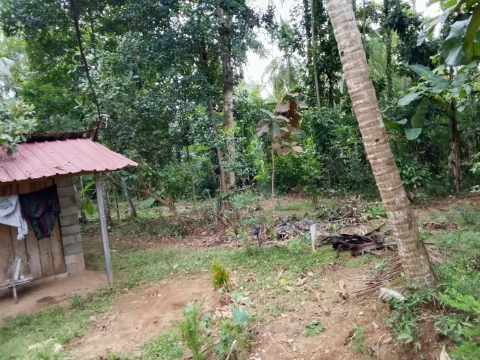 Land Sale in Narammala