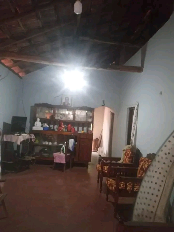 House Image 2