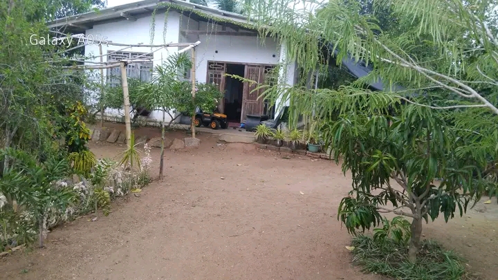 House Sale in Lunugamwehera