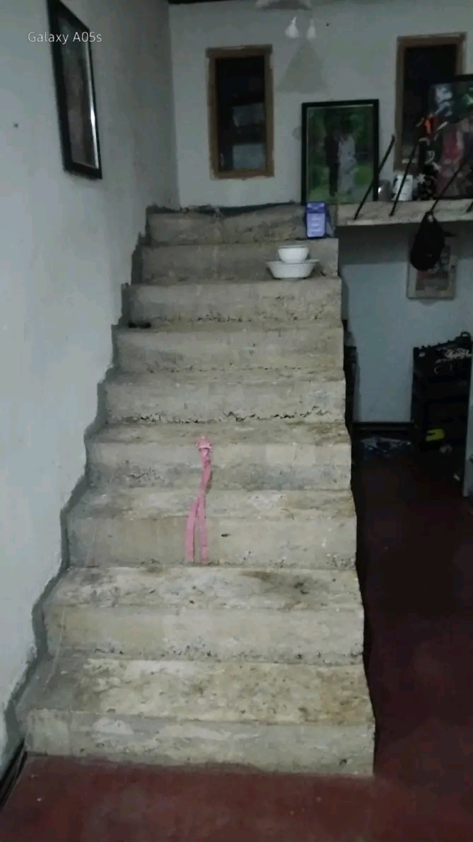 House Image 4