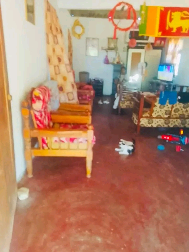 House Image 2
