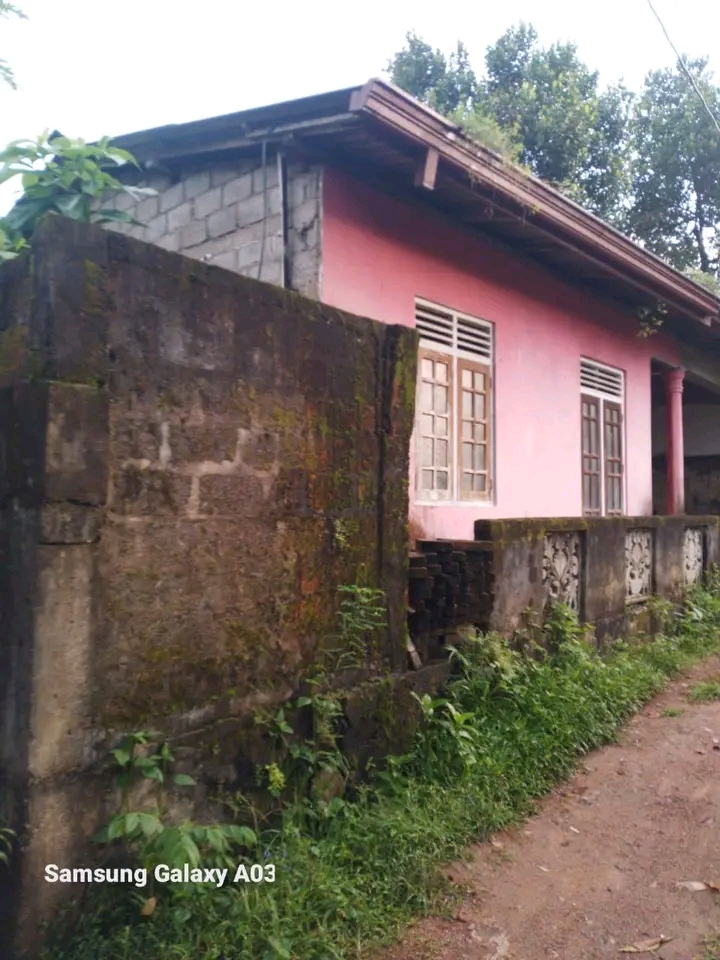 House Sale in Hanwella