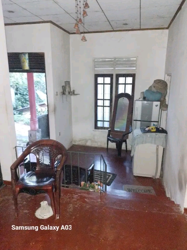 House Image 2