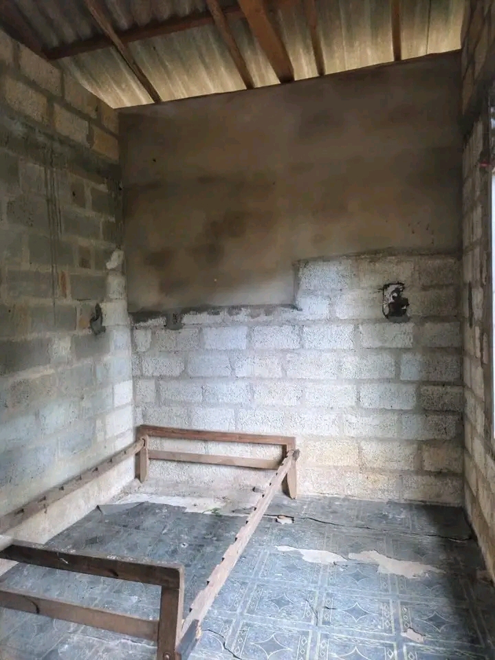 House Image 2