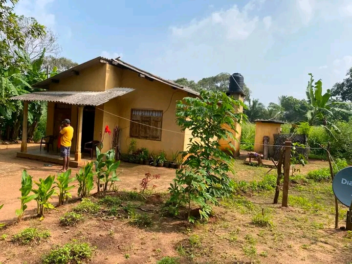 House Sale in Vavniya