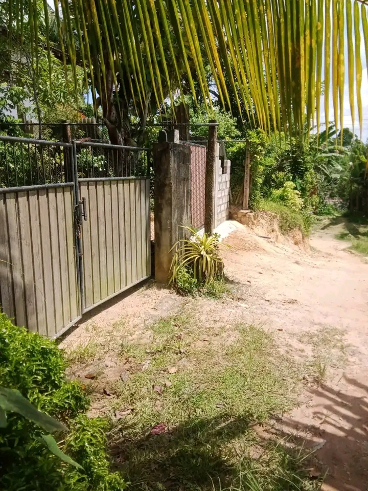 House Image 4