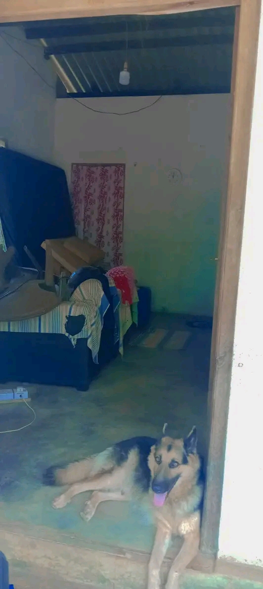 House Image 3