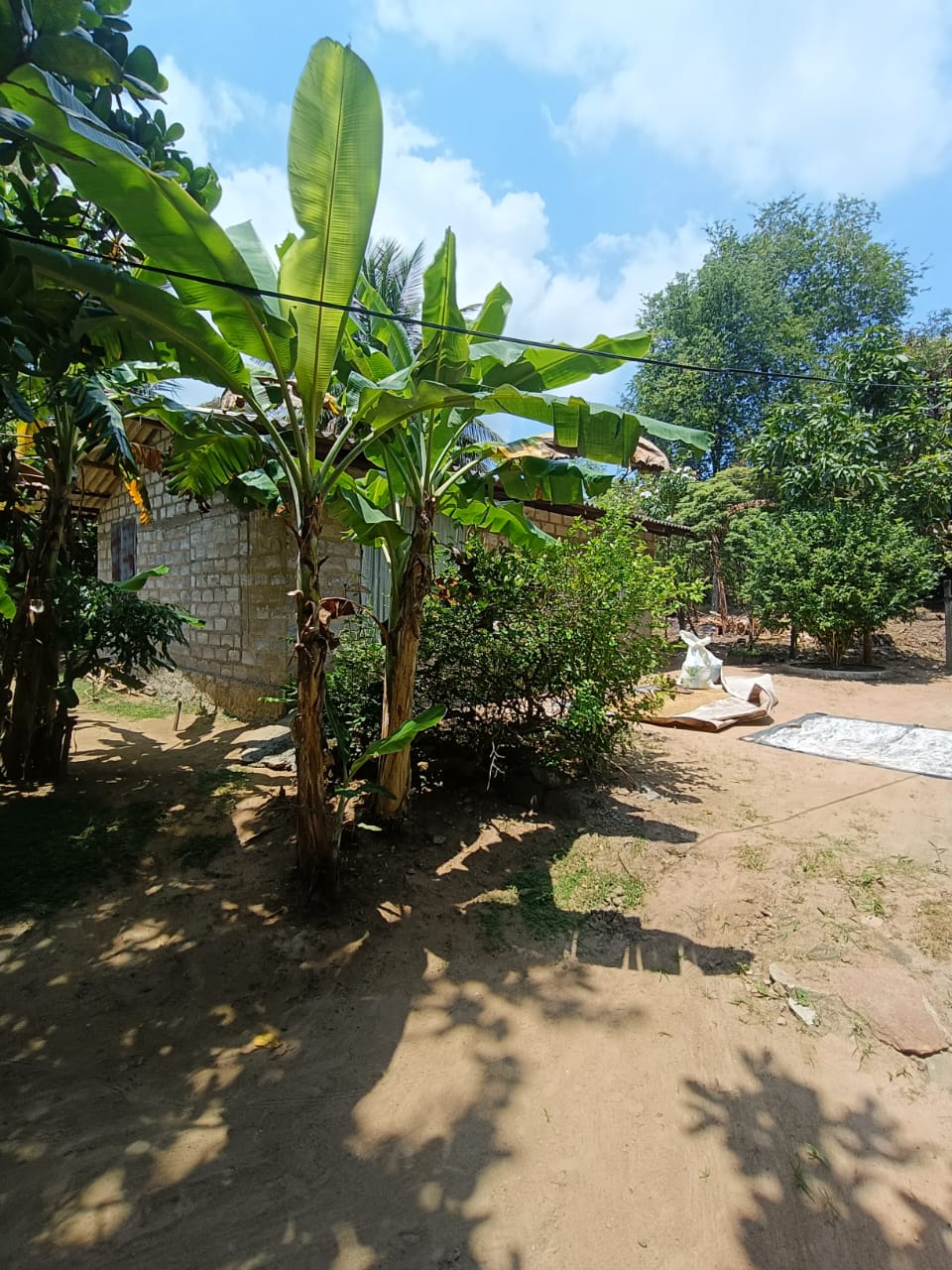 House Image 4