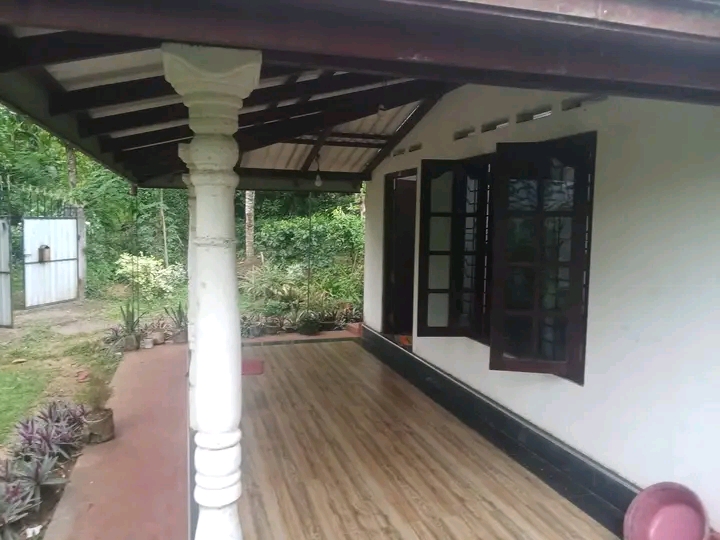 House Image 2