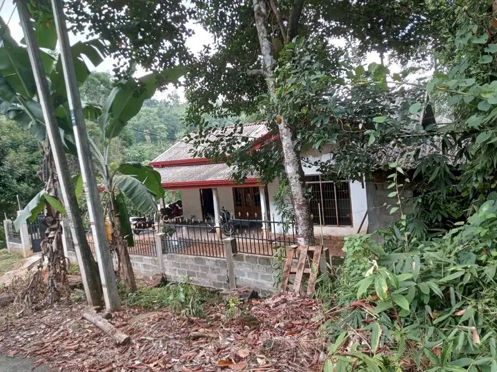 House Image 2