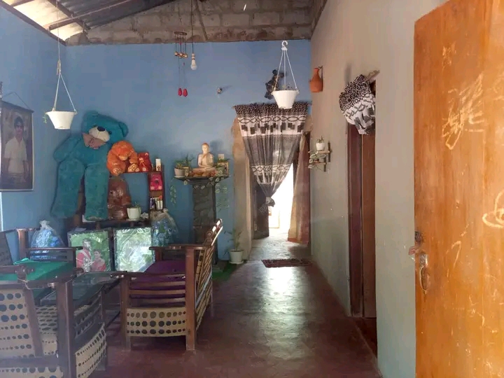 House Image 2