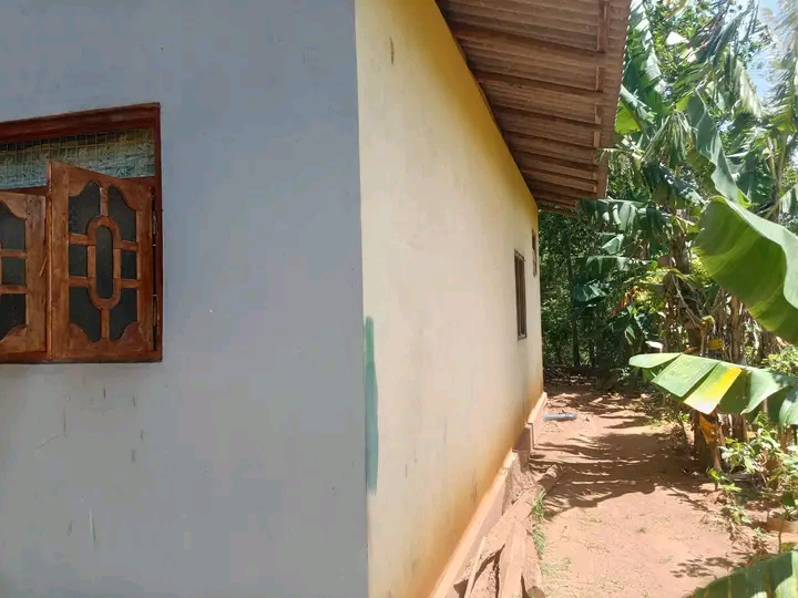 House Image 4