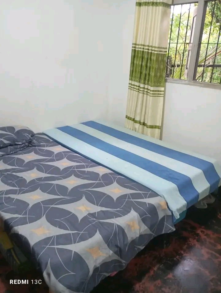 House Image 4