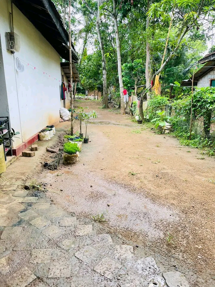 House Image 4