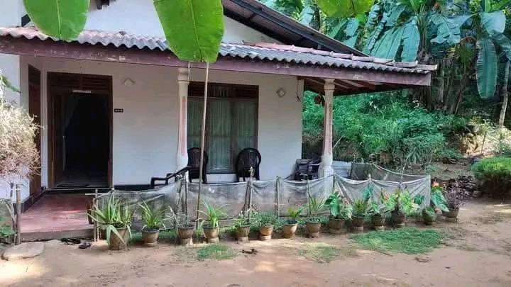 House Sale in Hakmana