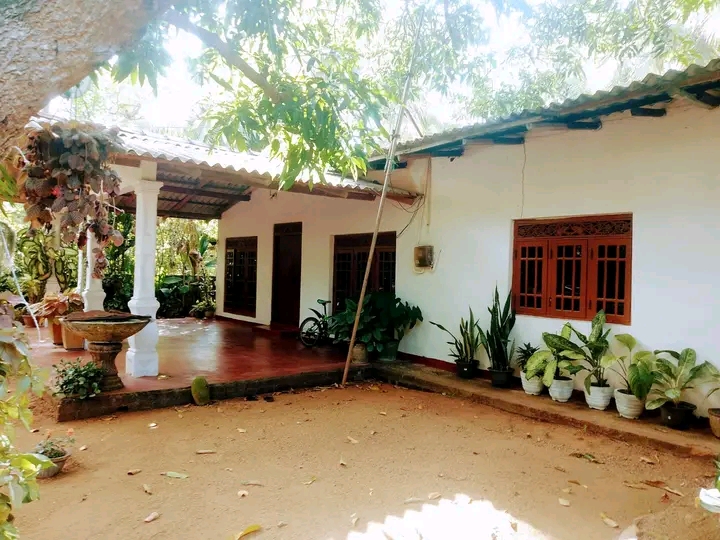 House Image 2